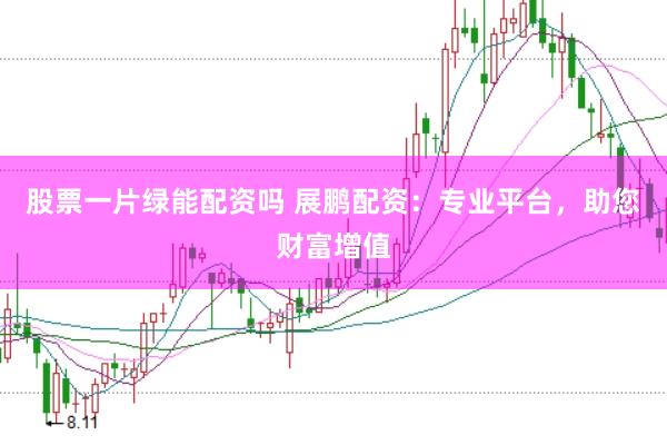 股票一片绿能配资吗 展鹏配资：专业平台，助您财富增值