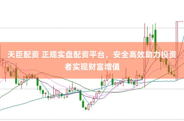 天臣配资 正规实盘配资平台，安全高效助力投资者实现财富增值
