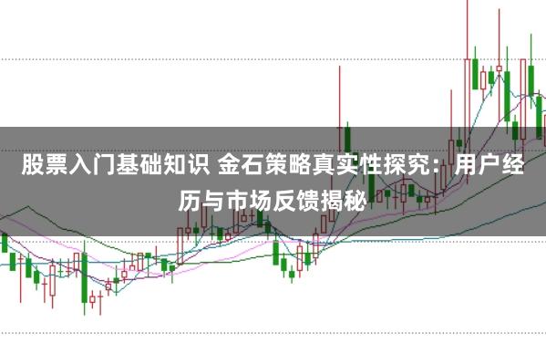 股票入门基础知识 金石策略真实性探究：用户经历与市场反馈揭秘