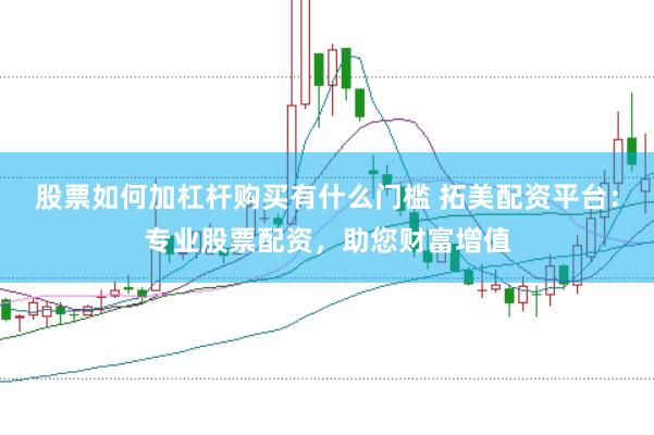 股票如何加杠杆购买有什么门槛 拓美配资平台：专业股票配资，助您财富增值