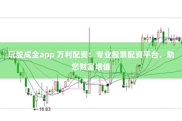 玩股成金app 万利配资：专业股票配资平台，助您财富增值
