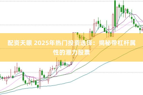 配资天眼 2025年热门投资选择：揭秘带杠杆属性的潜力股票