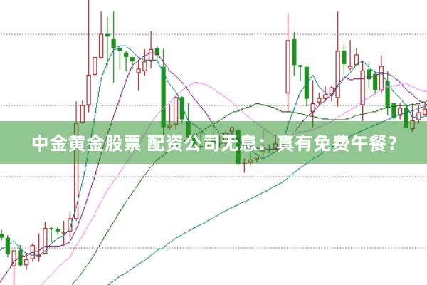 中金黄金股票 配资公司无息：真有免费午餐？