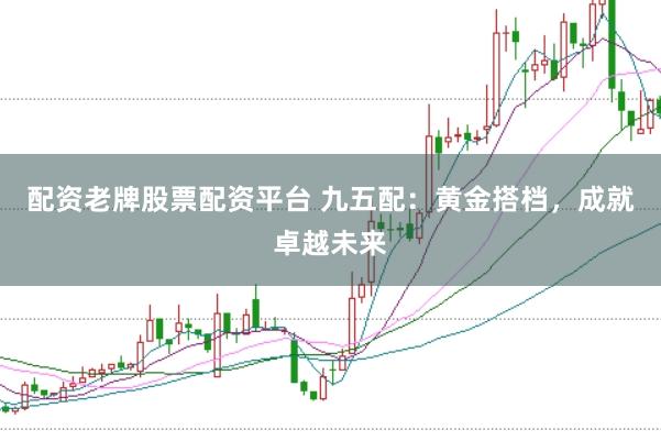 配资老牌股票配资平台 九五配：黄金搭档，成就卓越未来