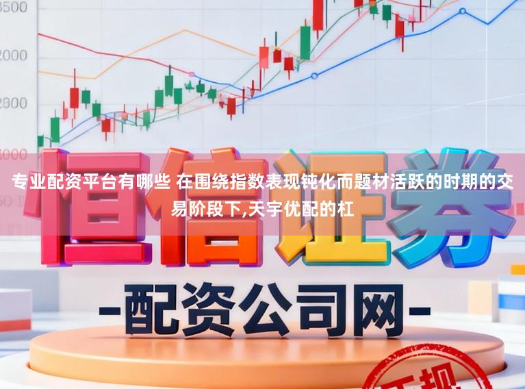 专业配资平台有哪些 在围绕指数表现钝化而题材活跃的时期的交易阶段下,天宇优配的杠